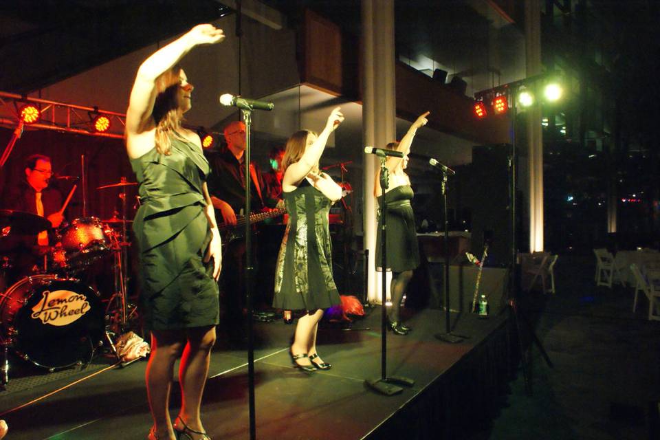 LemonWheel Band