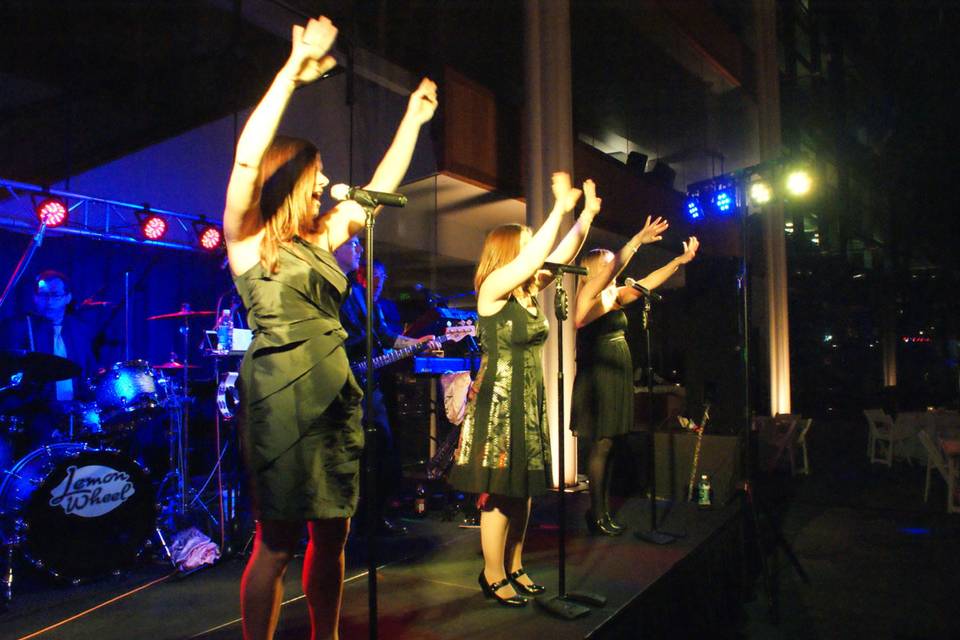 LemonWheel Band
