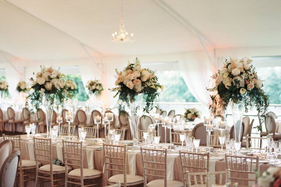 Chiavari Chairs