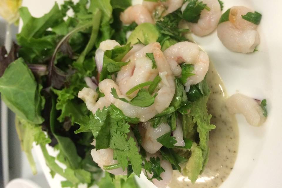 Shrimp avocado salad w/ cilantro lime dressing