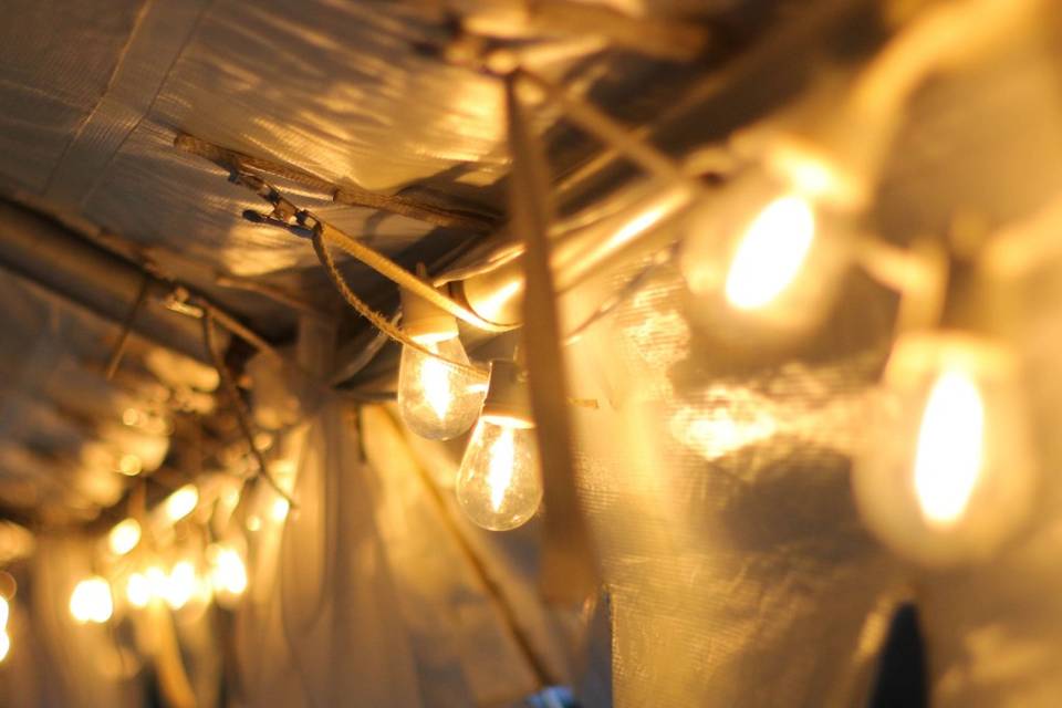 Bistro lights