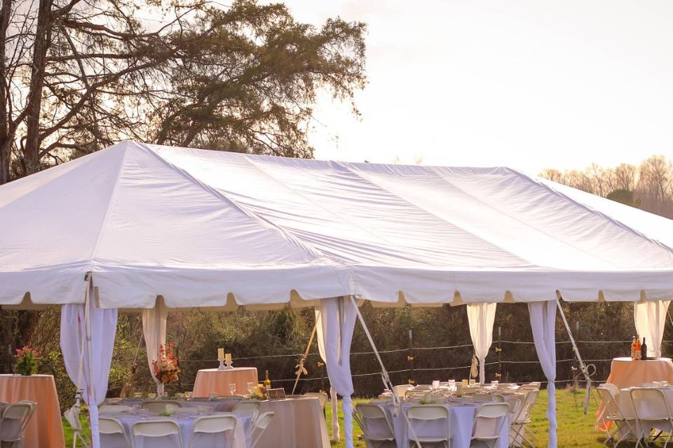Tent
