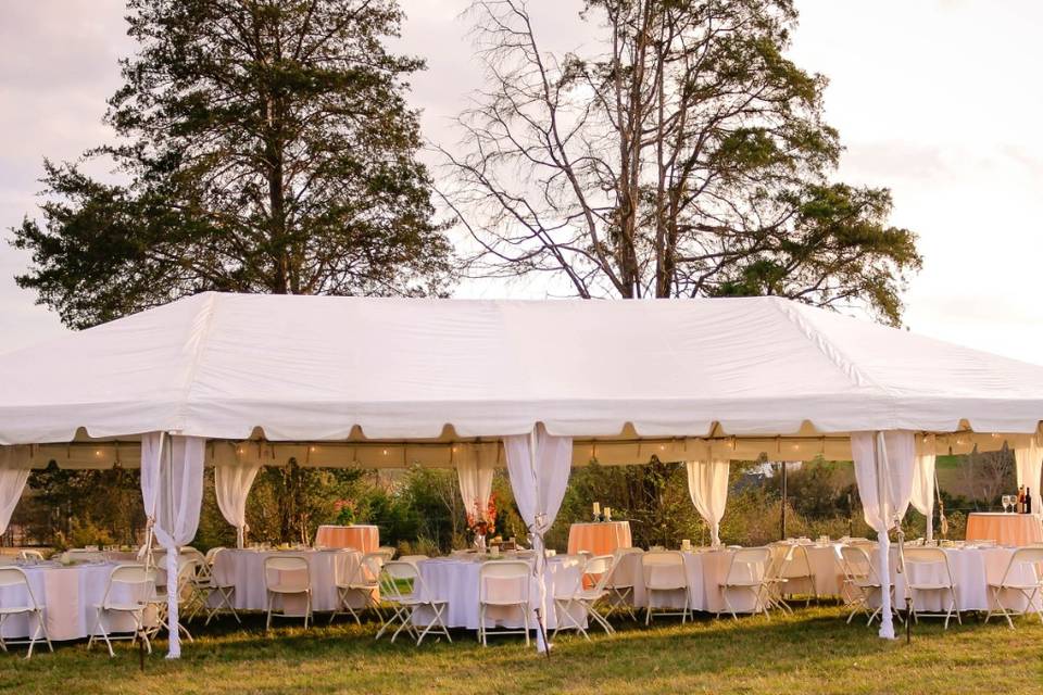 Volunteer Tents and Events