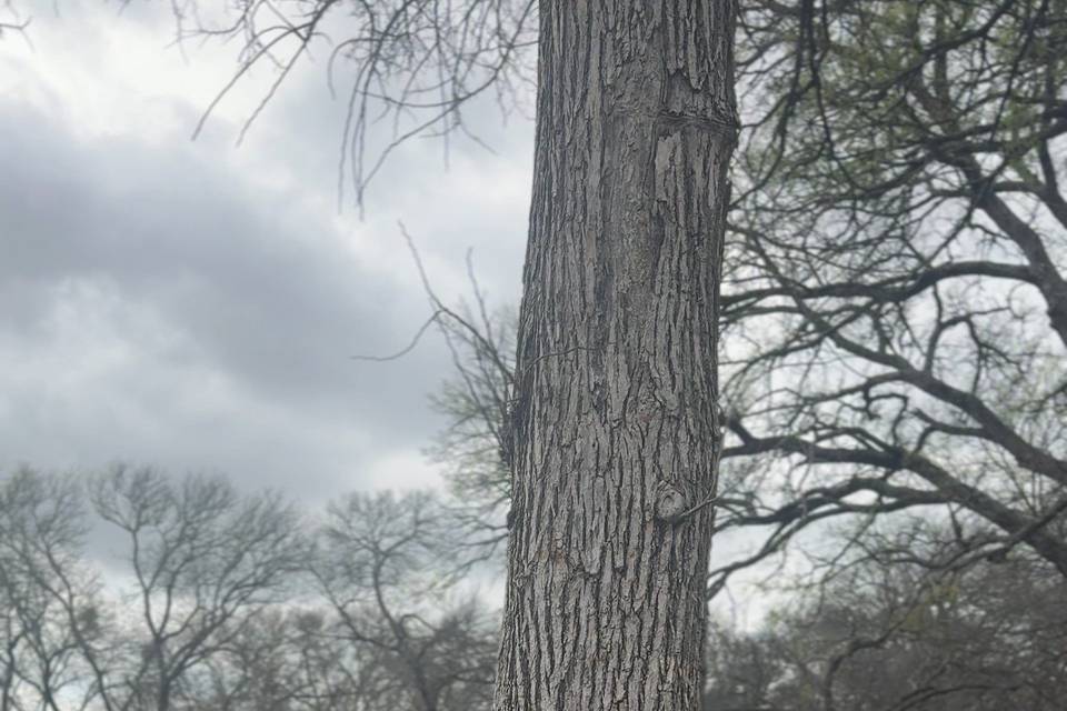 IMG_5751.jpeg