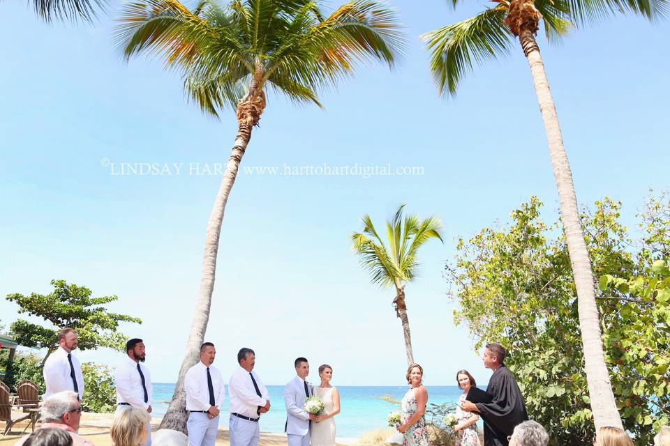 Island Bliss Weddings