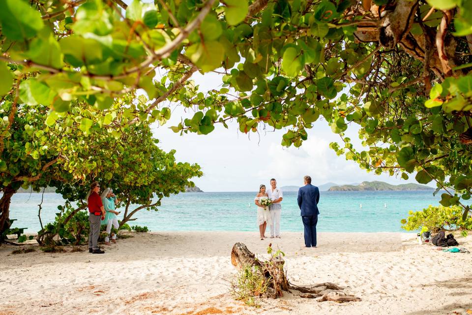 Island Bliss Weddings