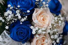 White and blue flowers