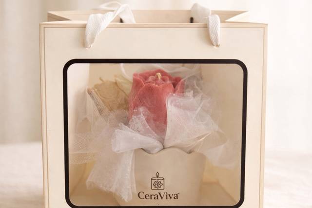 ceraviva wedding pro.jpg