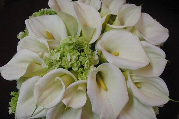 timeless calla lily bridal bouquet