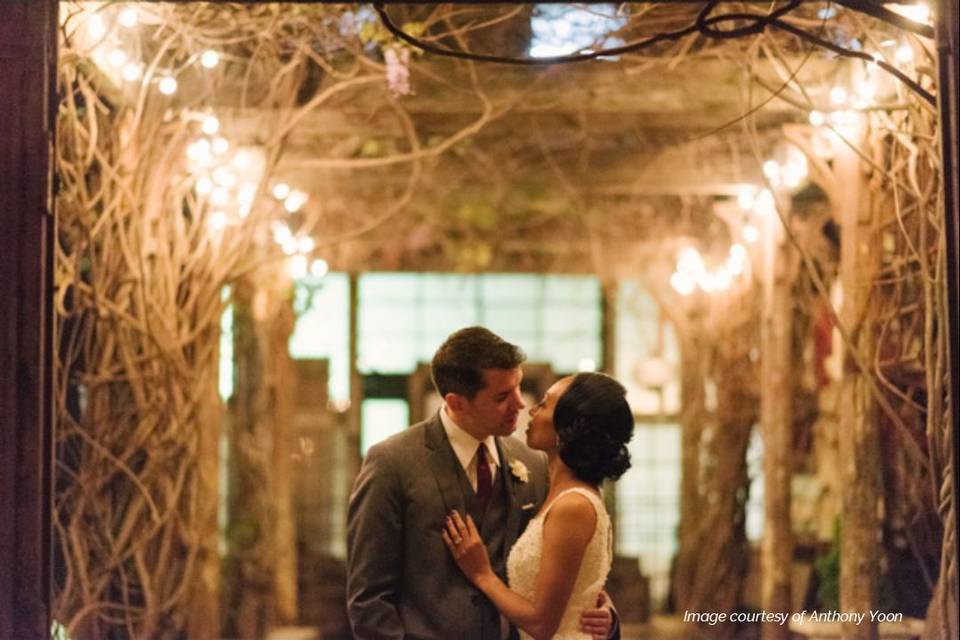 Warm ambiance - Andrew Yoon Photography