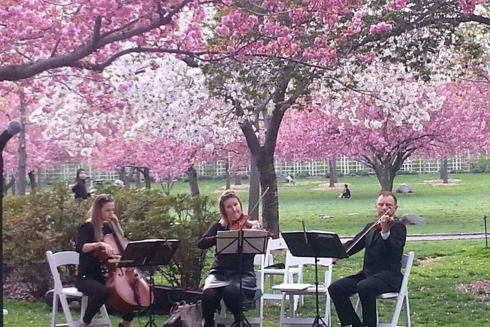 Flute Quartet