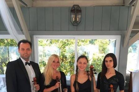 Strings quartet