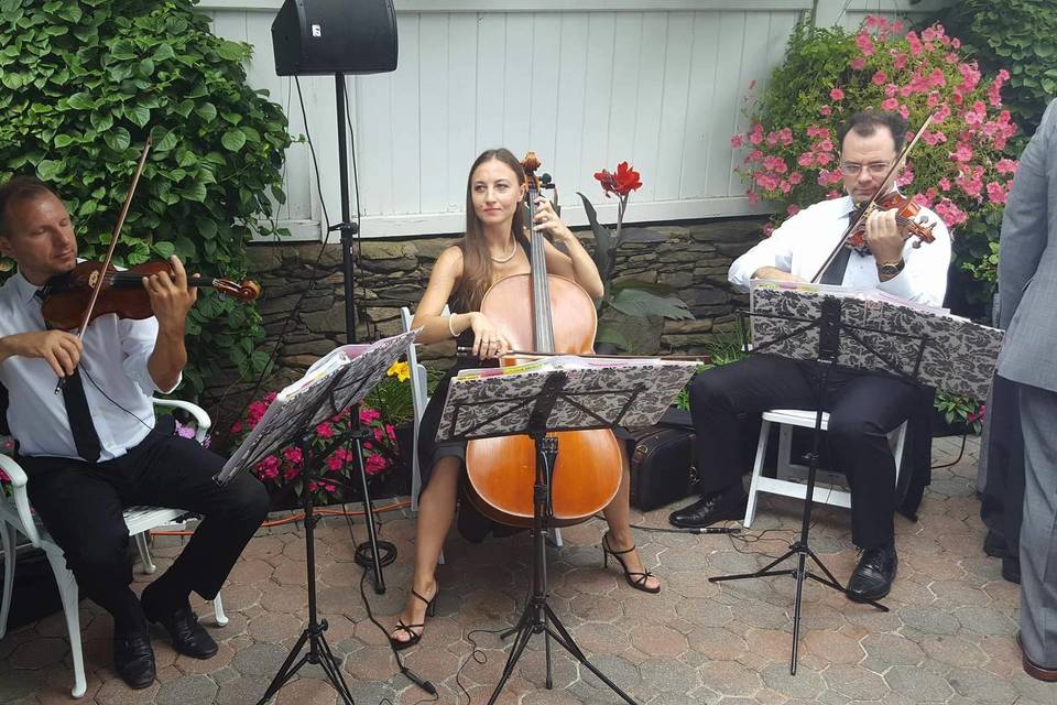 Strings trio