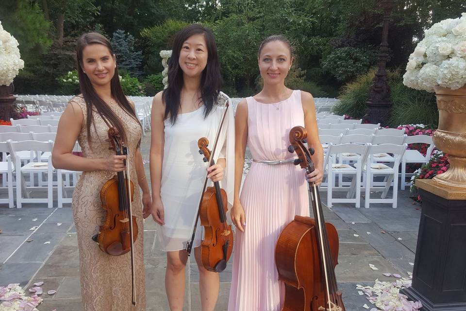 Violinists and cellist