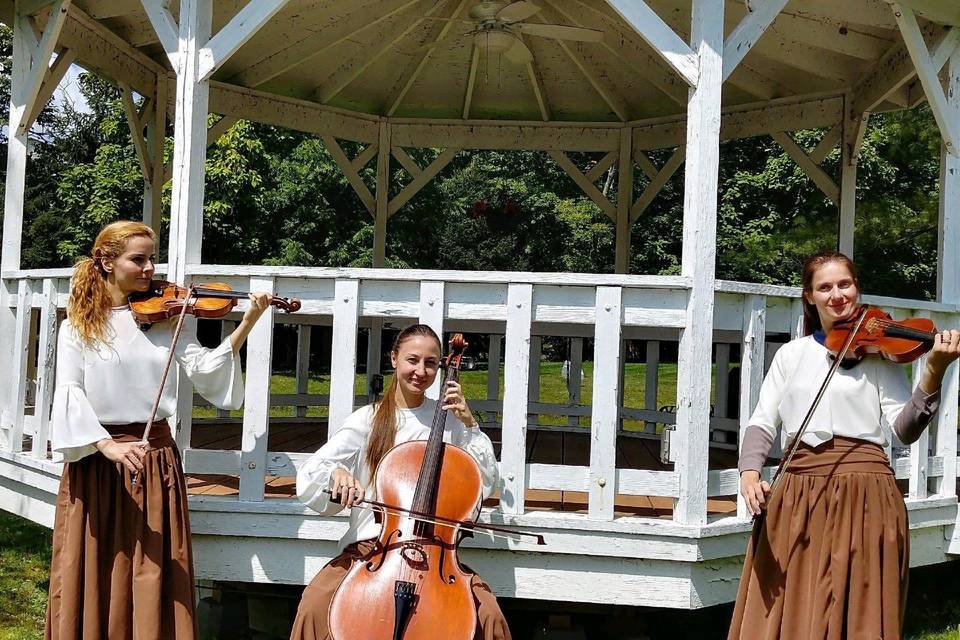 Strings trio