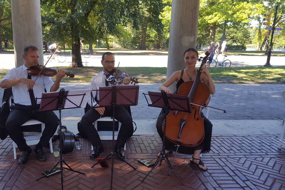 Trio@Prospect Park