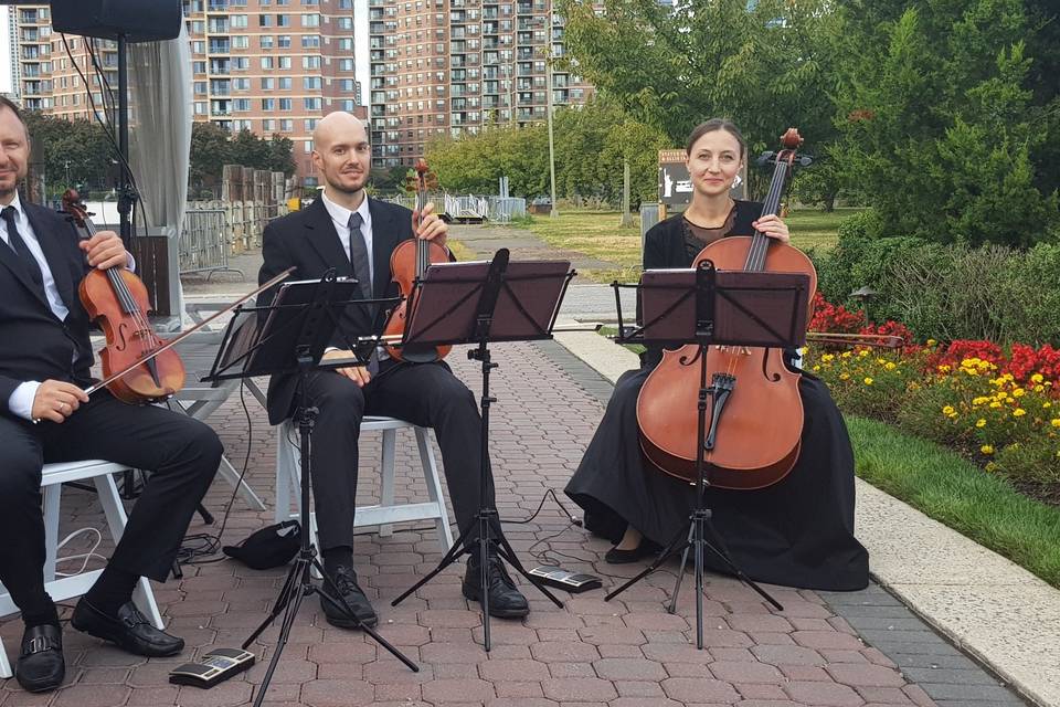 String Trio