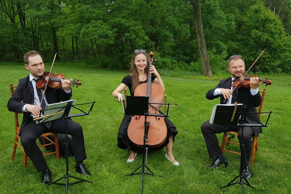 String Trio