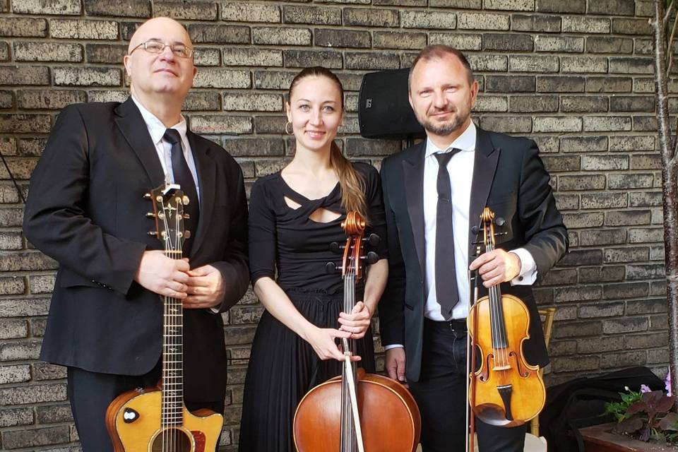 Strings trio