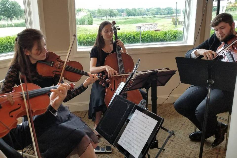 String Trio