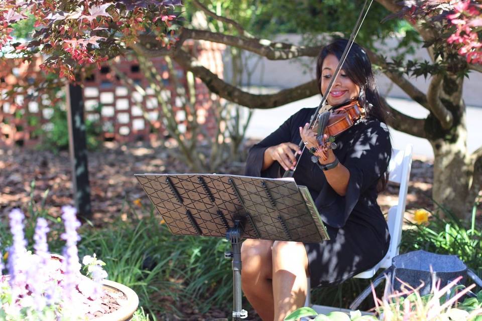 Lovely ceremony music provided by talented violinist
