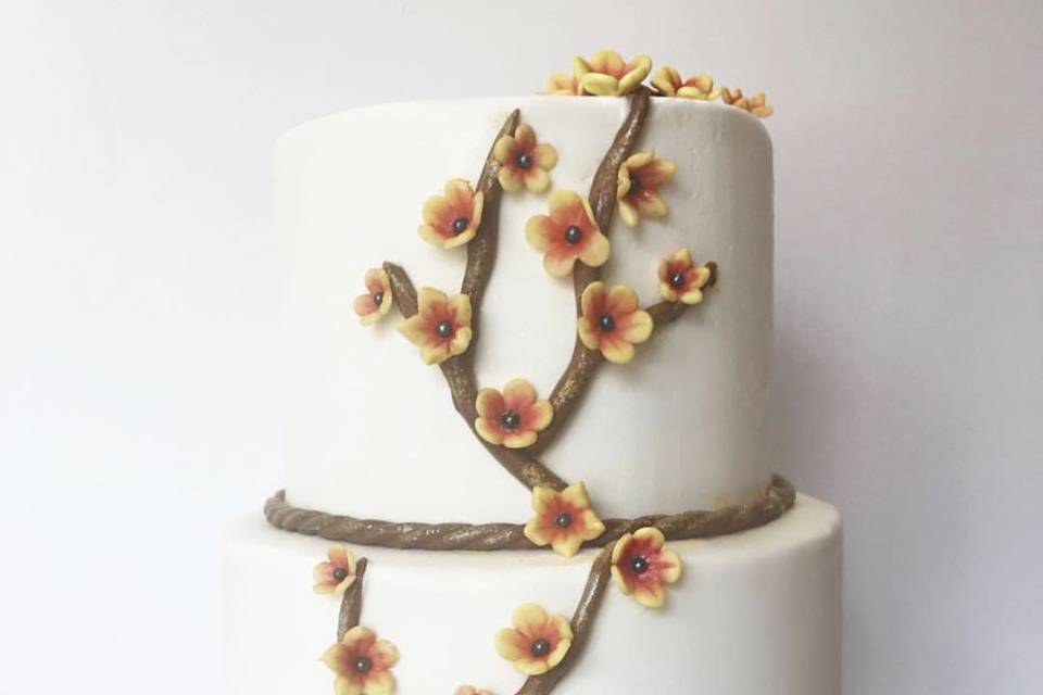 Designer Cakes and Desserts