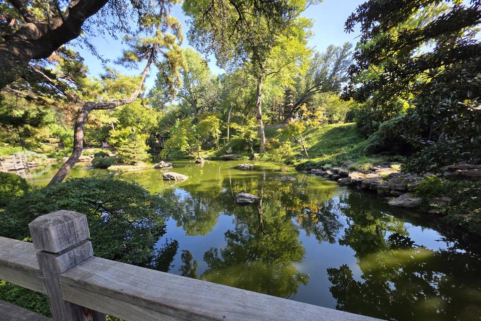 Japanese garden setting