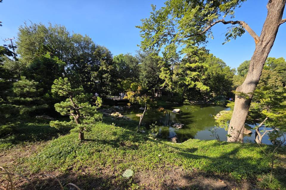 Japanese garden setting