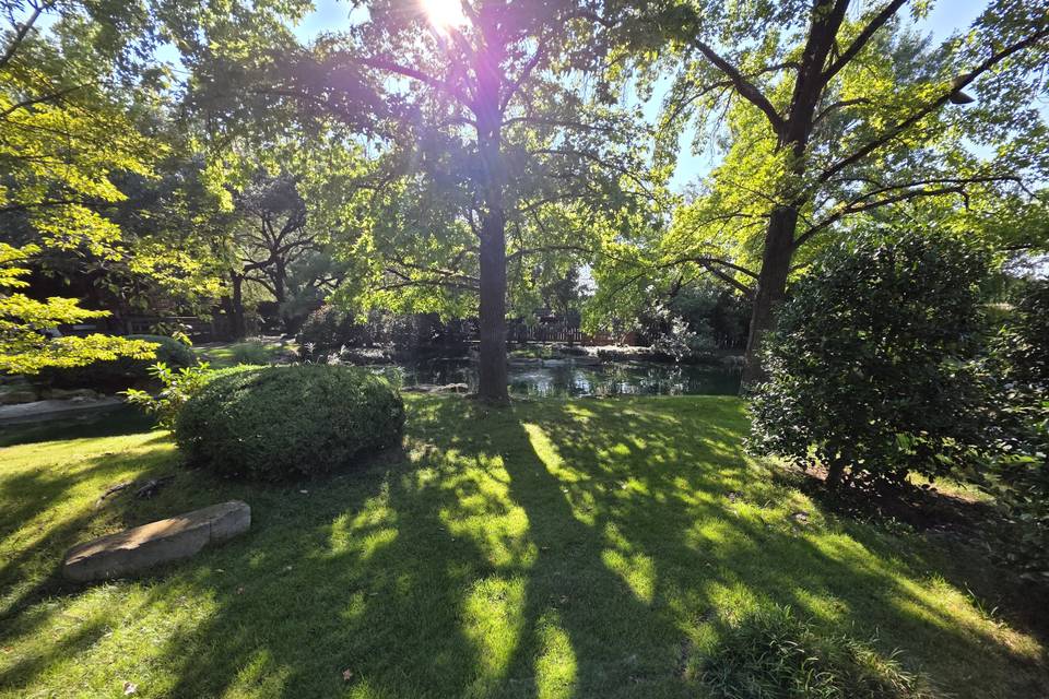 Japanese garden setting