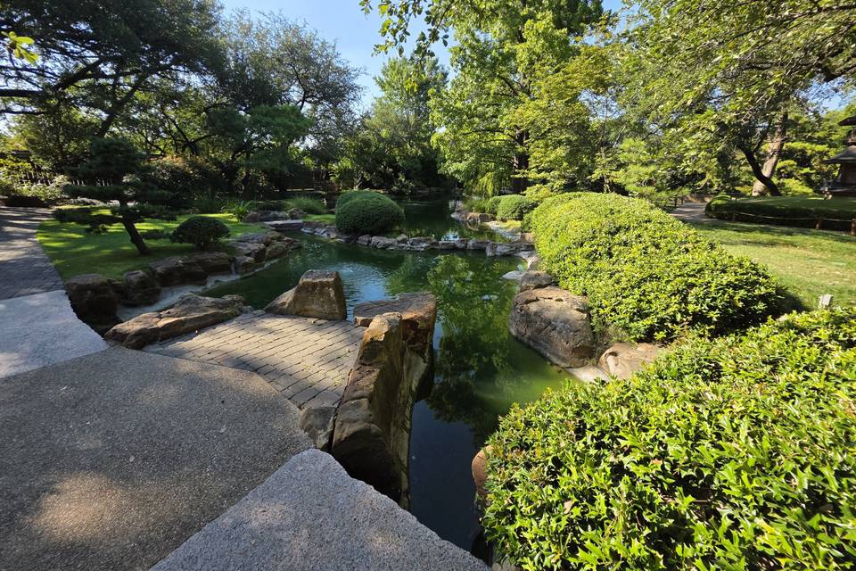 Japanese garden setting