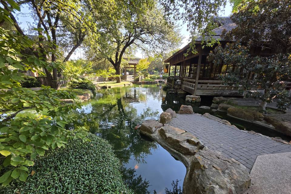 Japanese garden setting