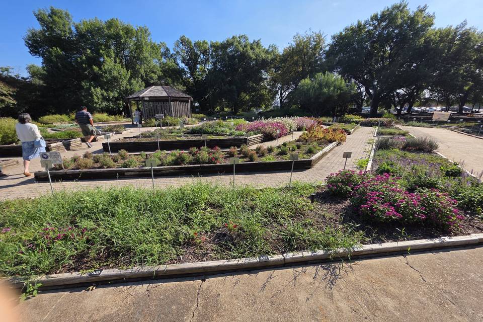 Flowers garden