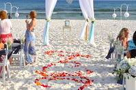 Emerald Beach Weddings & Events