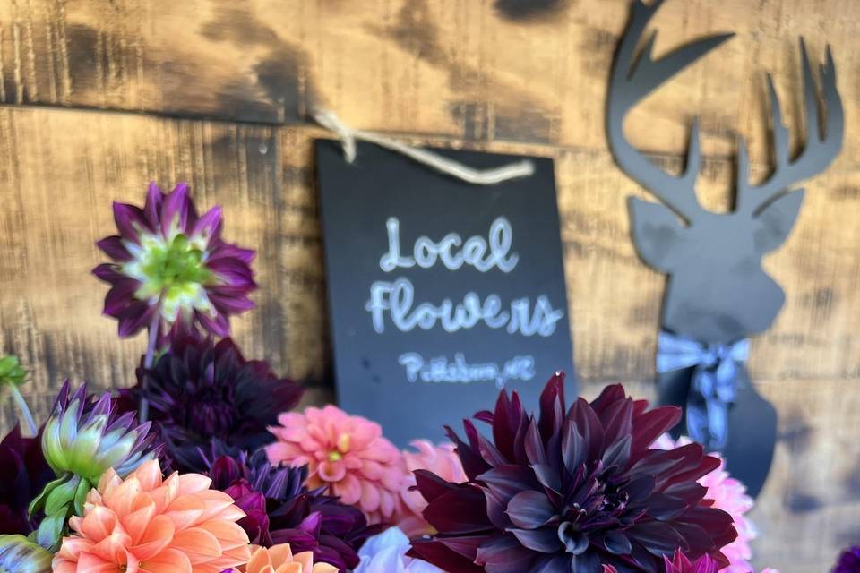Fall dahlia bunches