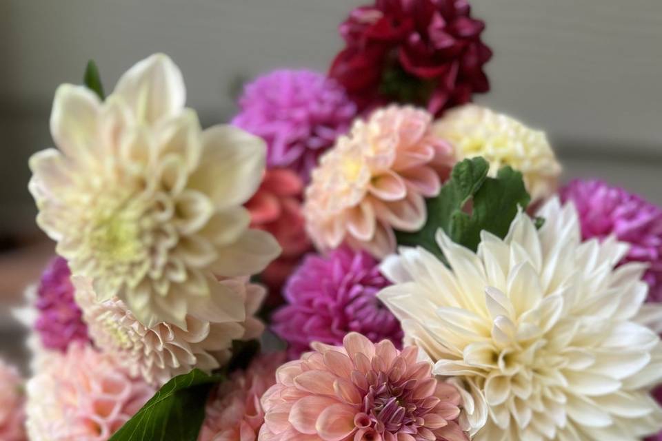 Pastel dahlia arrangement