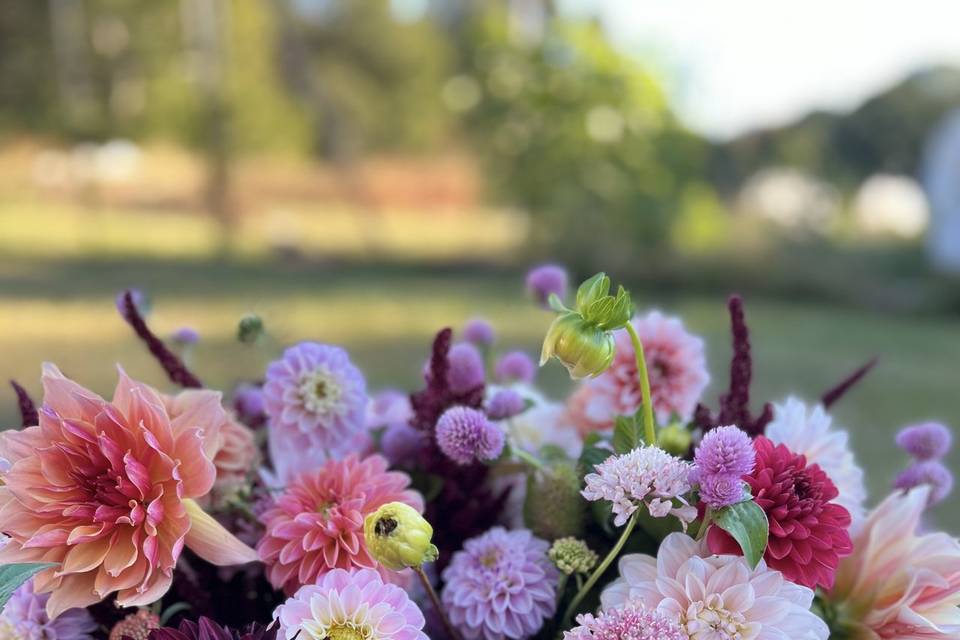 Purple & lavender dahlias