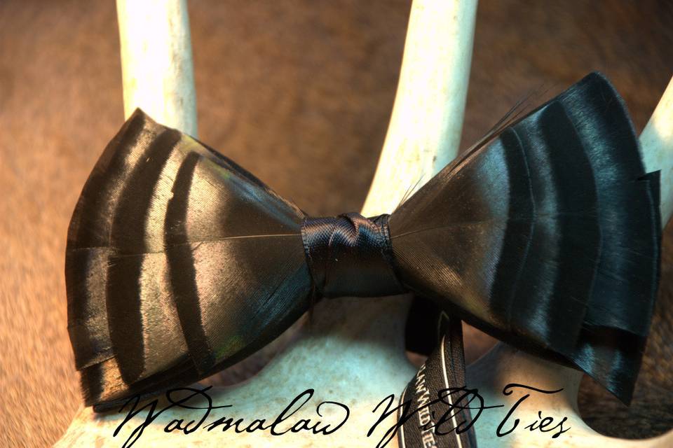 Carew Brackish Feather Bow Tie in Wilmington, DE