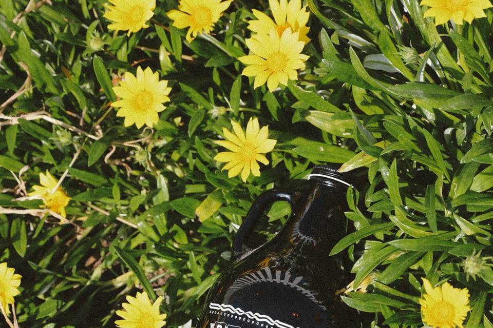 Cold Brew Growler