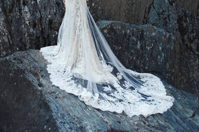 Spring 2014 Aurora - BackMermaid gown of buttercup silk shantung and a re-embroidered French Alençon lace. Sheer mermaid overlay with a re-embroidered French Alençon lace asymmetric applique over an exposed back and climbing up the train.