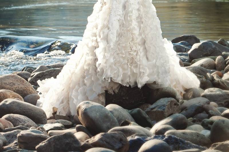 Spring 2014 Aurora Mermaid gown of buttercup silk shantung and a re-embroidered French Alençon lace. Sheer mermaid overlay with a re-embroidered French Alençon lace asymmetric applique over an exposed back and climbing up the train.