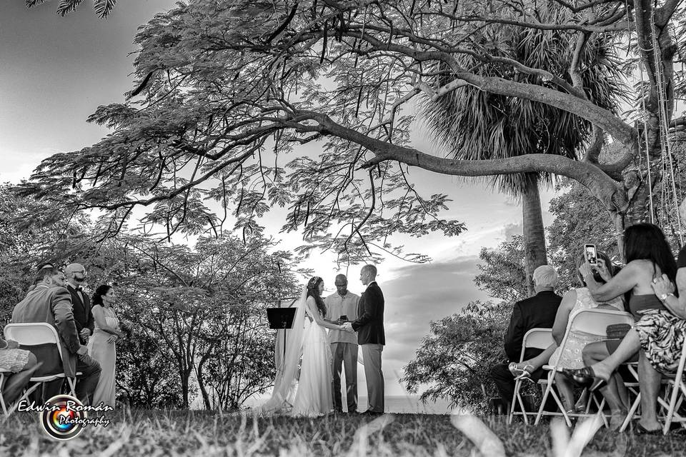 Edwin Roman Photography