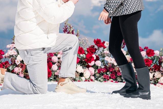 Proposal planner