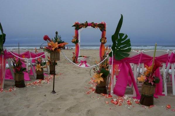 Tropical Ceremony