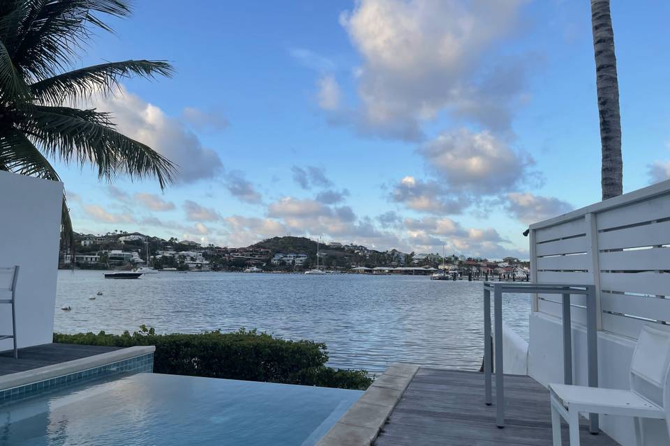 The view
