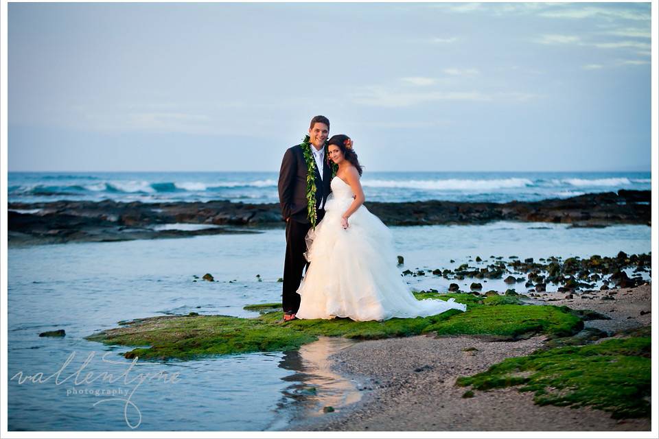 Swept Away Island Weddings & Events