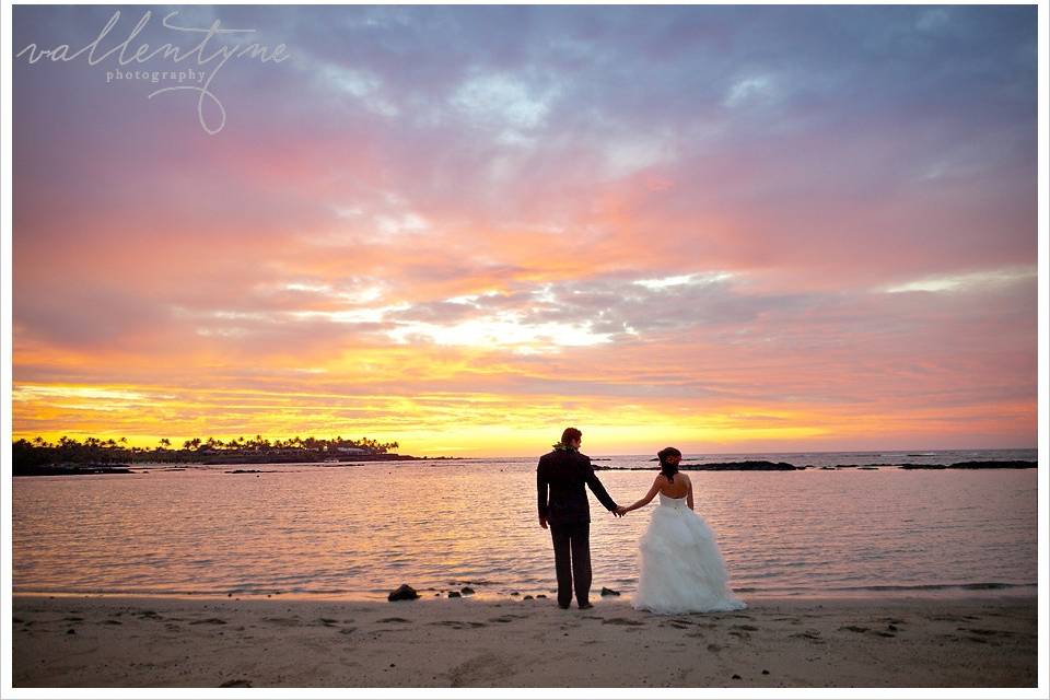 Swept Away Island Weddings & Events