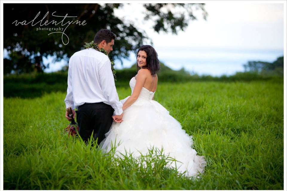 Swept Away Island Weddings & Events