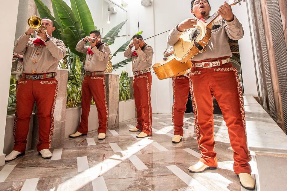 Welcome Mariachi Band