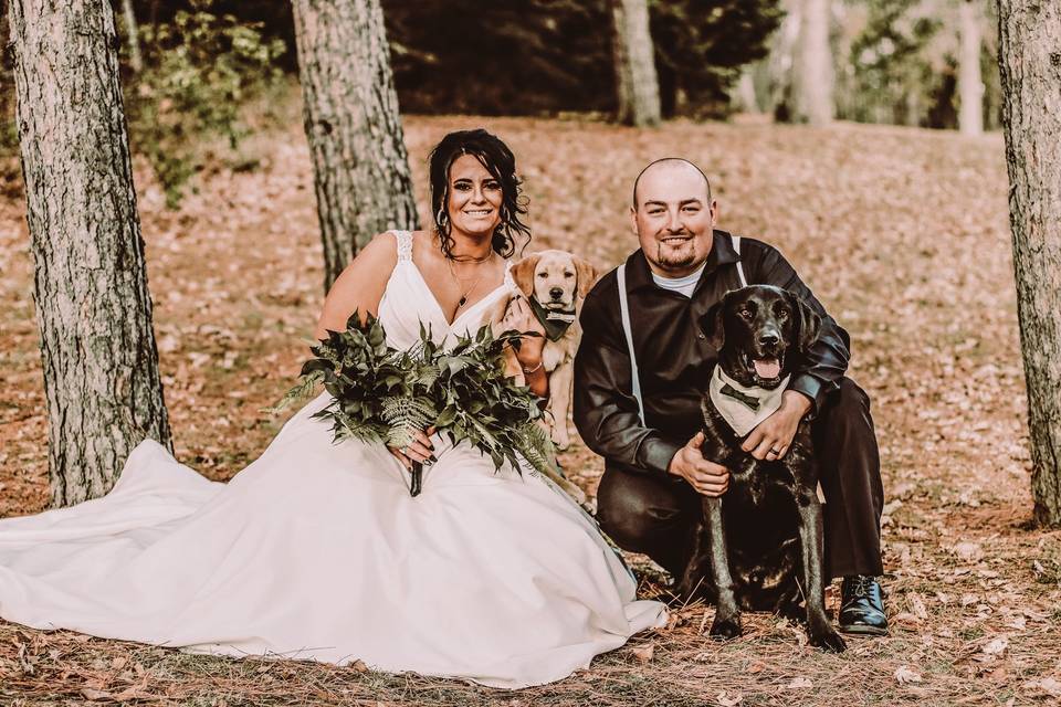 Bride and groom and pets