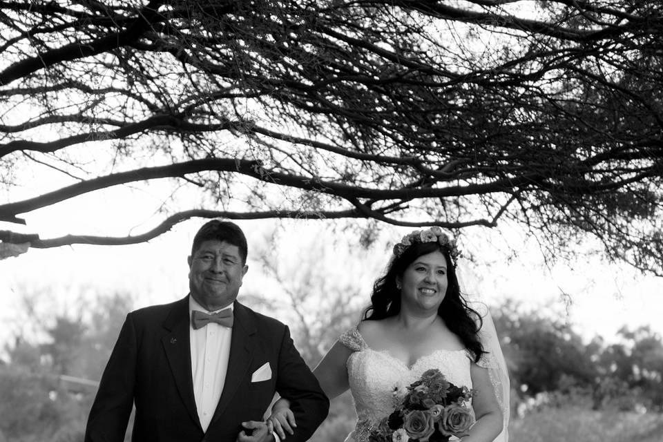 Cecily Cano Photography